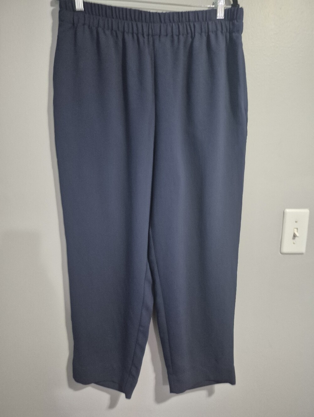 Madewell Huston Pull-On Crop Pants Womens Size Large
